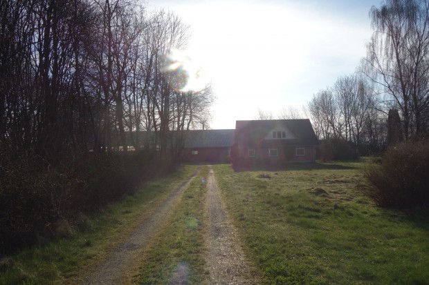Ejendommen fra indkørslen